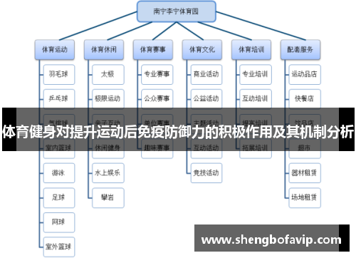 体育健身对提升运动后免疫防御力的积极作用及其机制分析